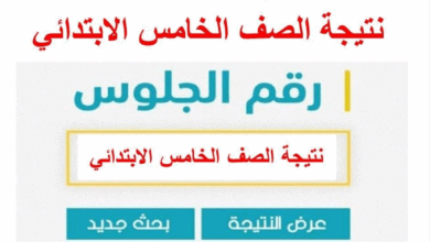 اعرف الآن نتيجة صفوف النقل الترم الأول 2026 بمحافظة الجيزة عبر بوابة التعليم الأساسي