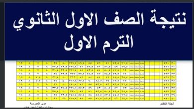 اعرف نتيجتك الآن.. نتيجة الصف الأول الثانوي 2026 بالبحيرة إلكترونيًا بخطوات سهلة وسريعة