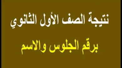 استعلم الآن.. نتيجة الصف الأول الثانوي 2026 الترم الأول بالاسم ورقم الجلوس لكل المحافظات