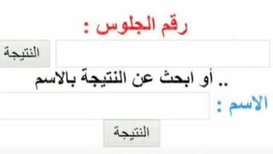 عاجل.. استعلم فورًا عن نتيجة الصف الخامس والسادس الابتدائي 2026 برقم الجلوس لجميع المحافظات