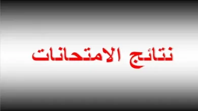 استعلم الآن عن نتيجة الصف الرابع والخامس والسادس الابتدائي 2026 بالرقم القومي عبر بوابة التعليم الأساسي