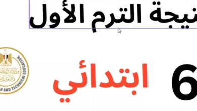 رابط مباشر لنتيجة الصف السادس الابتدائي 2026 الترم الأول.. خطوات الاستعلام السريعة عبر بوابة التعليم الأساسي