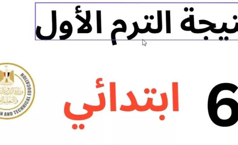 رابط مباشر لنتيجة الصف السادس الابتدائي 2026 الترم الأول.. خطوات الاستعلام السريعة عبر بوابة التعليم الأساسي