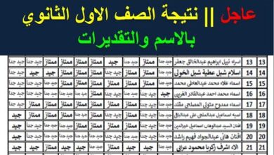 استعلم فورًا.. نتيجة أولى ثانوي الترم الأول 2026 بالاسم ورقم الجلوس عبر بوابة التعليم الأساسي