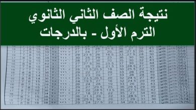 استعلم الآن.. نتيجة الصف الثاني الثانوي 2026 بالقاهرة والجيزة للترم الأول عبر بوابة المحافظات