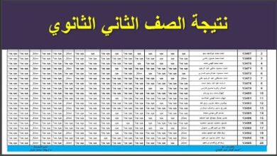 بشائر النجاح.. رابط نتيجة الصف الثاني الثانوي الترم الأول 2026 وخطوات الاستعلام السريع
