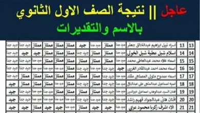 ظهور نتيجة الصف الأول الثانوي 2026 برقم الجلوس تدريجيًا في جميع المحافظات