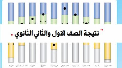 هسه طالع.. استعلم عن نتيجة الصف الأول والثاني الثانوي 2026 الجيزة بالرقم القومي فور اعتمادها