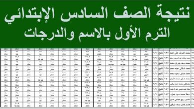 استعلم الآن عن نتيجة الصف السادس الابتدائي 2026 عبر بوابة التعليم الأساسي برقم الجلوس والاسم