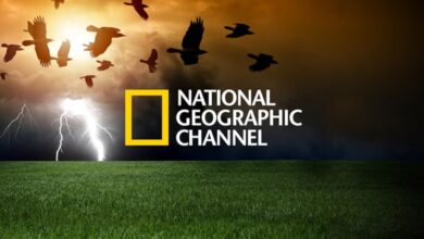 National Geographic.. تردد قناة ناشيونال جيوغرافيك 2026 الجديد لمشاهدة أفضل الوثائقيات بجودة فائقة