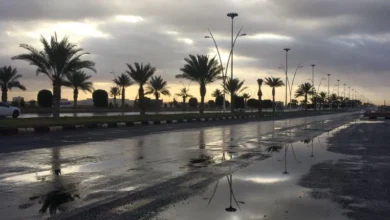 هل تستمر الأجواء الباردة؟.. تفاصيل حالة الطقس في الجزائر غدًا الجمعة ودرجات الحرارة المتوقعة