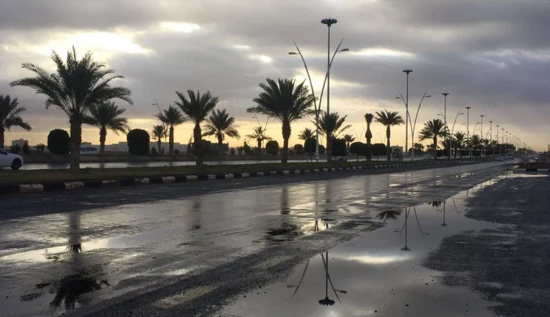 هل تستمر الأجواء الباردة؟.. تفاصيل حالة الطقس في الجزائر غدًا الجمعة ودرجات الحرارة المتوقعة