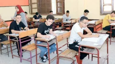 إستمارة الثانوية العامة 2026.. أهم المعلومات والنصائح لتعبئة صحيحة وتجنب الأخطاء الشائعة