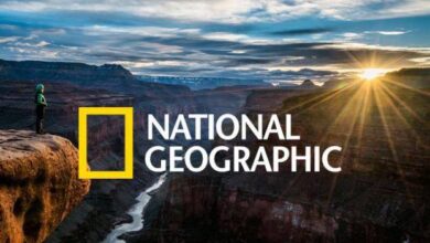 استمتع بمتابعة ناشيونال جيوغرافيك أبوظبي 2026 HD.. محتوى وثائقي فريد من نوعه
