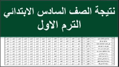 استعلم الآن.. رابط نتيجة الصف السادس الابتدائي 2026 الترم الأول بالرقم القومي فور اعتمادها