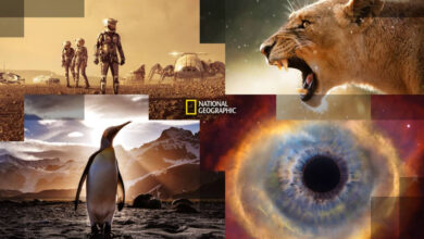 National Geographic.. أحدث تردد قناة ناشيونال جيوغرافيك 2026 لمشاهدة البرامج الوثائقية والطبيعة وتابع مغامرات العالم