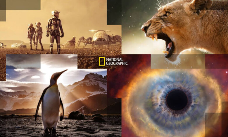 National Geographic.. أحدث تردد قناة ناشيونال جيوغرافيك 2026 لمشاهدة البرامج الوثائقية والطبيعة وتابع مغامرات العالم