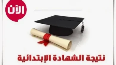 إعرف نتيجتك فورًا.. نتائج الشهادة الابتدائية الترم الأول 2026 لجميع المحافظات