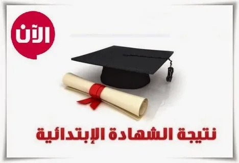 إعرف نتيجتك فورًا.. نتائج الشهادة الابتدائية الترم الأول 2026 لجميع المحافظات