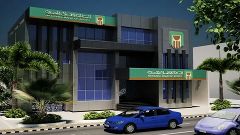 “الادخار الذهبي 2026”.. اكتشف فوائد شهادات البنك الأهلي المصري المرتفعة والمميزات الخفية للادخار الآمن