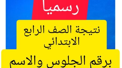 استعلم الآن عن نتيجة الصف الرابع الابتدائي 2026 الترم الأول عبر بوابة التعليم الأساسي بالتقديرات فور الإعلان الرسمي