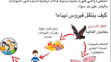 فيروس نيباه