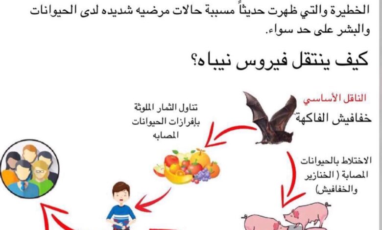 فيروس نيباه