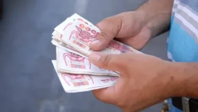 اليورو مقابل الدينار الجزائري اليوم 11 يناير 2026.. متابعة حية لأعلى وأدنى الأسعار في السوق