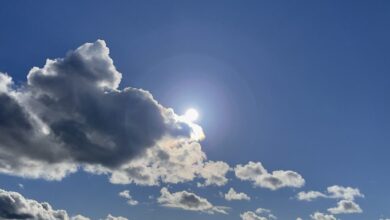 برد مفاجئ وشبورة كثيفة تضرب الأجواء.. تفاصيل طقس الخميس 15 يناير 2026