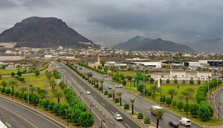 تنبيه عاجل.. طقس السعودية اليوم الخميس شديد البرودة ورياح مثيرة للأتربة والغبار تضرب عدة مناطق