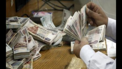 الحكومة تحدد موعدًا مبكرًا لصرف مرتبات يناير 2026 للعاملين بالدولة رسميًا