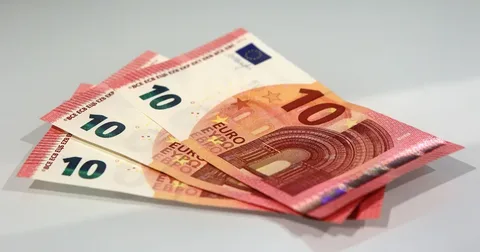 أسعار اليورو اليوم الأربعاء 14 يناير 2026 في البنوك المصرية: البنك المركزي وCIB وبنك القاهرة للبيع والشراء