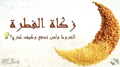 الإفتاء المصرية تكشف قيمة زكاة الفطر 2026.. موعد الإخراج والفئات المستحقة والشروط الأساسية