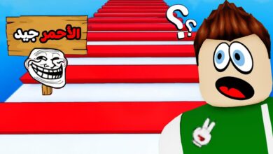 المجلس الأعلى للإعلام يعلن حظر لعبة روبلوكس في مصر.. تعرف على التفاصيل الكاملة