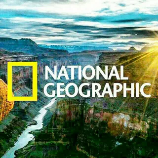 استكشف العالم مع ناشيونال جيوغرافيك 2026.. تردد المفتوحة على نايل سات وطريقة الضبط على الرسيفر