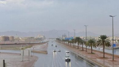 طقس المملكة اليوم الأحد 20-8-1447.. موجة حر وارتفاع ملحوظ في درجات الحرارة