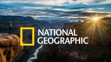 شاهد الطبيعة والاكتشافات الفريدة.. تردد ناشيونال جيوغرافيك أبوظبي 2026 الجديد