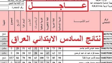 اكتشف نتائج السادس الابتدائي التمهيدي 2026 في العراق.. الاستعلام بالرقم الامتحاني عبر نتائجنا