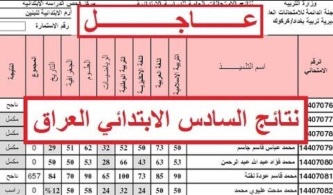 اكتشف نتائج السادس الابتدائي التمهيدي 2026 في العراق.. الاستعلام بالرقم الامتحاني عبر نتائجنا