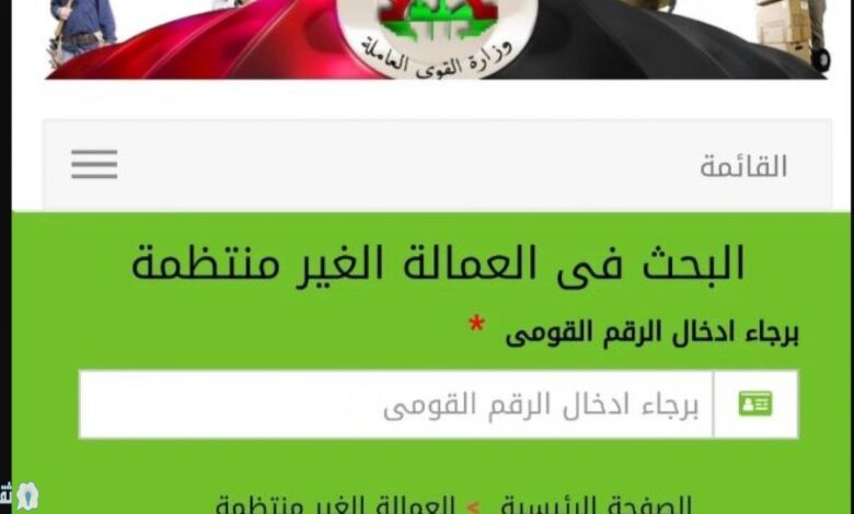 منحة رمضان 2026 للعمالة الغير منتظمة.. استعلم الآن بالرقم القومي عبر manpower.gov.eg