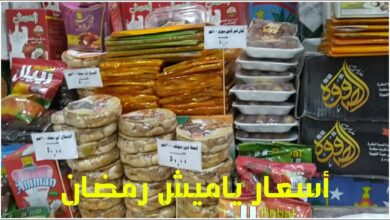 بكام البلح وقمر الدين؟.. أسعار ياميش رمضان 2026 في الأسواق المصرية