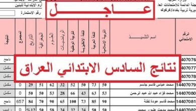 استعلم الآن فوراً.. نتائج التمهيدي السادس الابتدائي 2026 لكل المحافظات برقمك الامتحاني