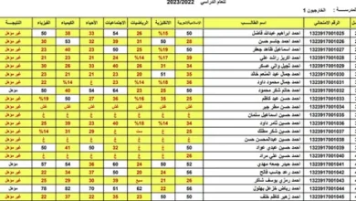 نتائج السادس الابتدائي 2026 التمهيدي متاحة الآن.. ادخل رقمك وشاهد نتيجتك فوراً