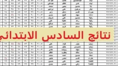 استعلم الآن.. نتائج الصف السادس الابتدائي التمهيدي في ميسان 2026 برقمك الامتحاني عبر موقع نتائجنا