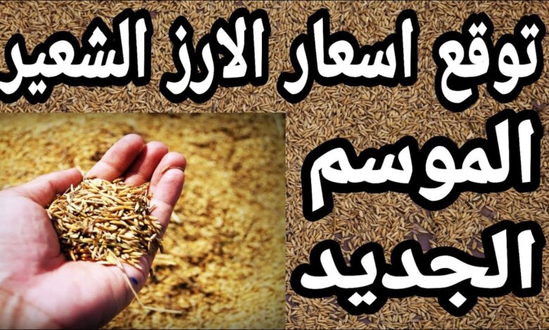 آخر أسعار الأرز الشعير اليوم الخميس 12 فبراير 2026 في الأسواق وتجار التجزئة