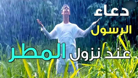 اغتنم ساعة المطر في رمضان.. أدعية مستجابة لقضاء الحوائج وتفريج الكرب وجلب الرزق