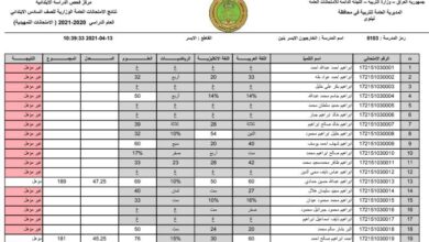 الرابط الرسمي لنتائج السادس الابتدائي التمهيدي 2026 في العراق.. استخرج نتيجتك بالاسم أو الرقم الامتحاني لكل المحافظات فورًا