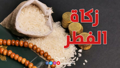 زكاة الفطر 2026 في مصر والدول العربية.. المبلغ النقدي وموعد الإخراج الصحيح