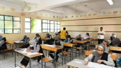 حمل الآن نماذج استرشادية اللغة العربية للثانوية العامة 2026 بخطوات سهلة ومباشرة