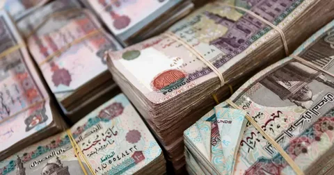 قبل صرف معاشات أبريل 2026.. الحكومة تصدر قرارًا يبهج الملايين من المستفيدين